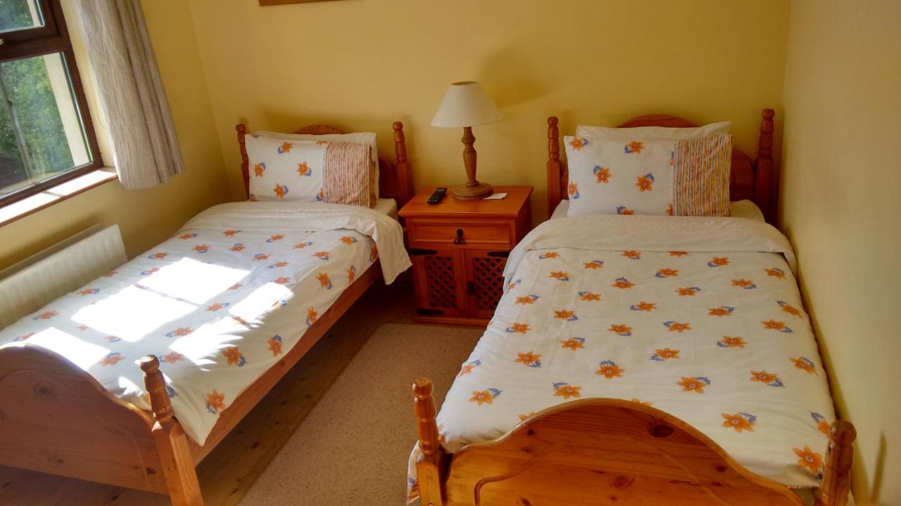 Grannagh Castle House Bed & Breakfast Waterford Exterior foto