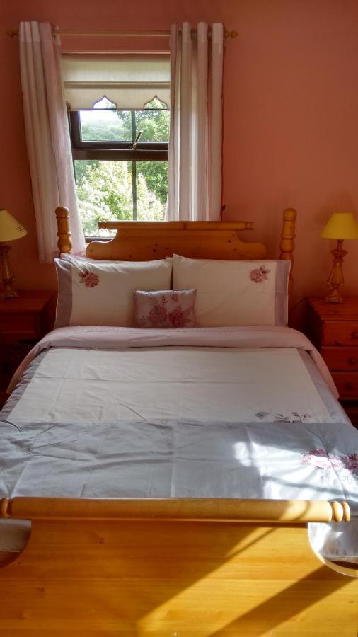 Grannagh Castle House Bed & Breakfast Waterford Exterior foto